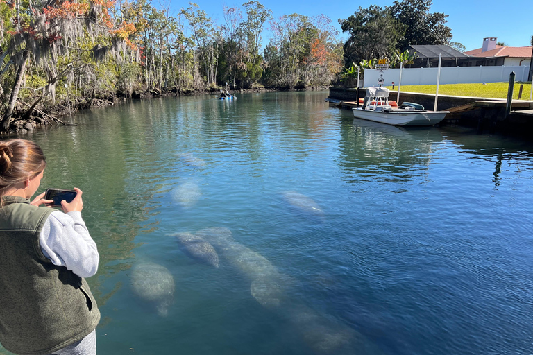 Crystal River: Manatee Eco-Tour Boat Ride Crystal River Private Manatee Eco tour