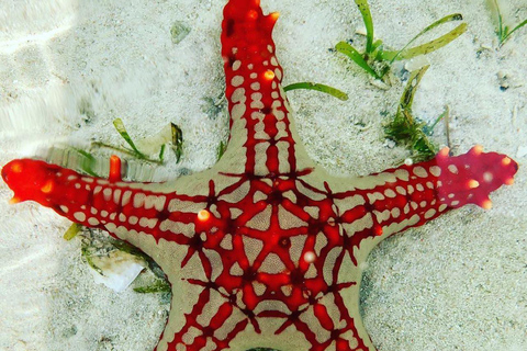 Zanzibar: SUP Tour i przystanek na lunch w restauracji The Rock