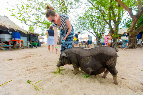 Koh Samui: Avvistamento dei delfini rosa e tour in motoscafo dell&#039;isola di Pig