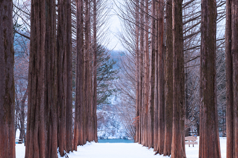 Von Seoul aus: Elysian Gangchon Ski Tour mit Nami IslandSnowboard-Paket - Treffen am DDP-Bahnhof