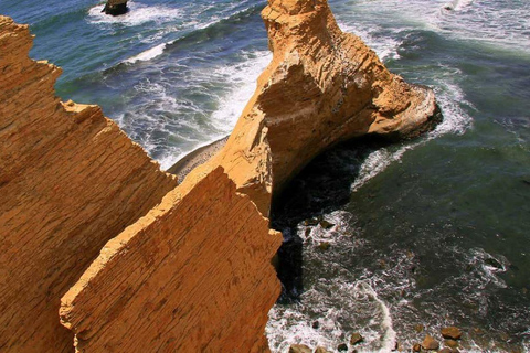 From Lima: Nazca Lines and Ballestas Islands Day Trip