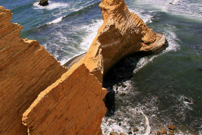 From Lima: Nazca Lines and Ballestas Islands Day Trip