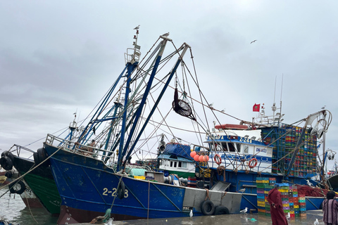 From Marrakech: Essaouira Day Trip with Beach & Medina Essaouira Small Group Day Trip
