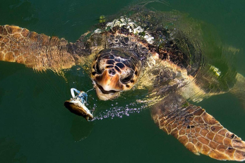 Marmaris Dalyan King Tomb, Turtle Beach & Mud Bath Tour