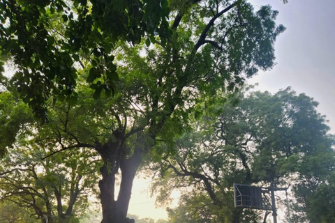 Delhi: wycieczka poranna – prywatne doświadczenieDelhi: wycieczka poranna all inclusive