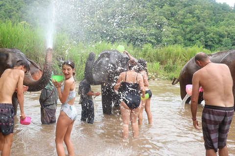 Chiang Mai: Doi Inthanon National Park & Elefantenschutzgebiet