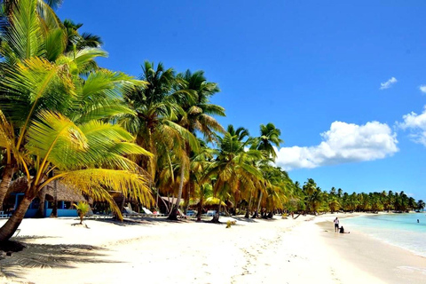 From Punta Cana: Isla Saona Day Trip with Lunch & Drinks