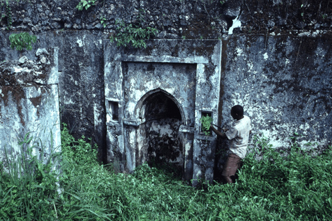 Pemba Island: Spice Farm and Mkama Ndume Tour