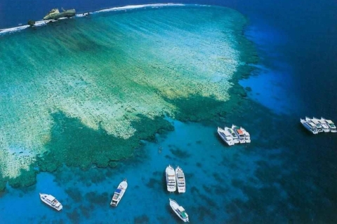 Sharm El Sheij: Paseo en barco por la isla de Tirán con inmersión introductoria