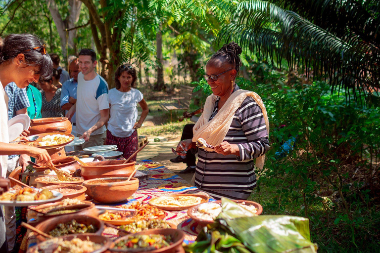 Stone town and spice farm