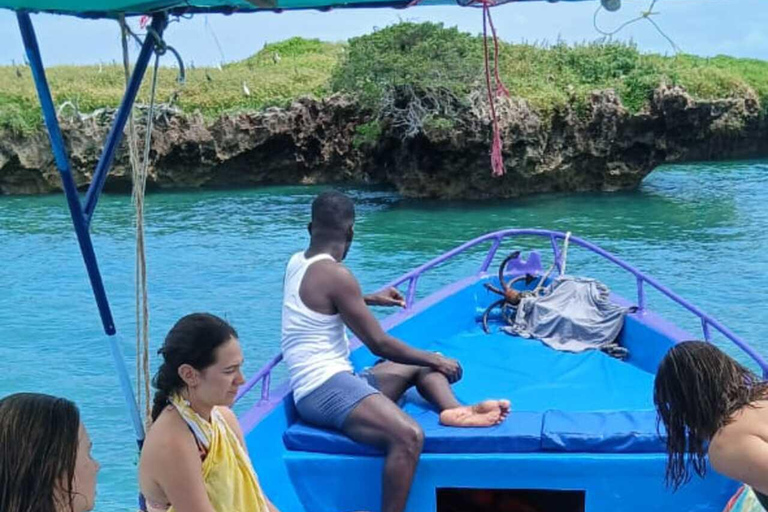 Diani Beach: Kisite Marine Park & Wasini Island Day Trip