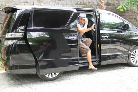 Guided Private Transfer Tokyo ↔ Osaka/Kyoto with Scenic Stop