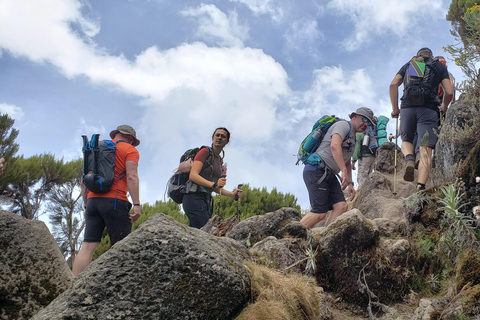 乞力马扎罗：莱莫肖路线徒步含机场接送乞力马扎罗：莱莫肖路线徒步之旅（含机场接送）