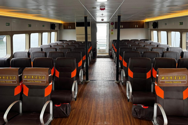 Gili Islands/Lombok: Bali Fast Ferry Transfer with Hostess Padang Bai to Lembongan
