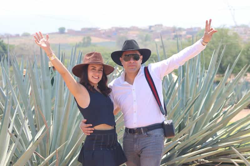 Tequila Express Die einzige Tequila Tour all inclusive GetYourGuide
