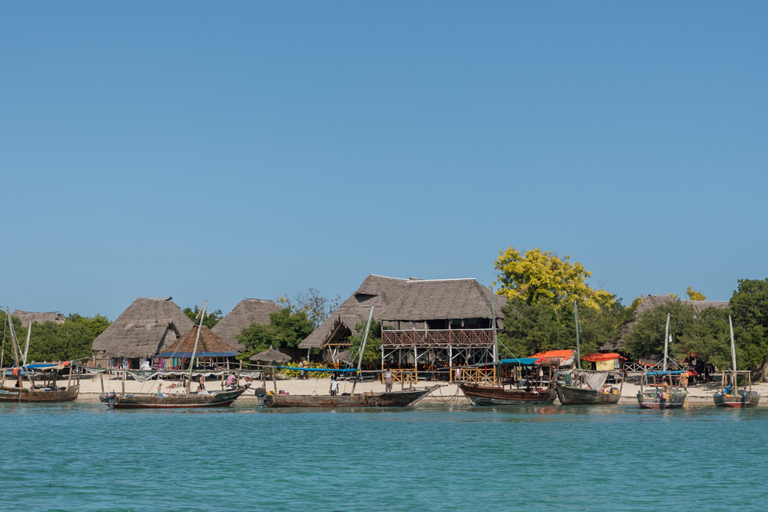 Zanzibar: Blue Lagoon Snorkeling & Sandbank Tour with BBQ Blue Lagoon Snorkeling & Sandbank Tour without Transfer