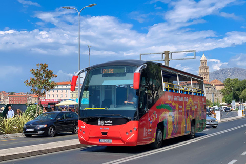 Open Panoramic Bus Tour + Guided Walking Tour in 8 languages