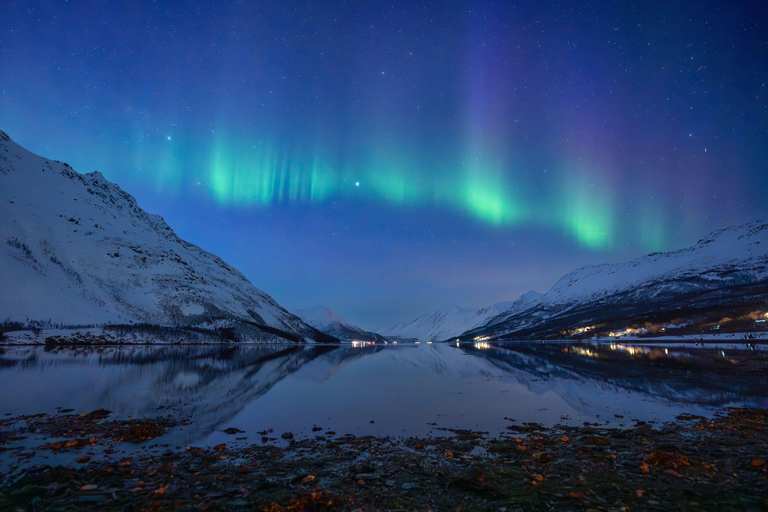 Tromsø: Reindeer Camp Visit & Aurora Chase