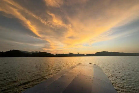 Langkawi: Mangrove Night Safari with BBQ Dinner