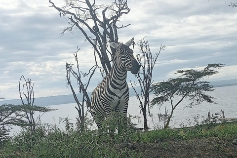 Lake Nakuru National Park from Nairobi