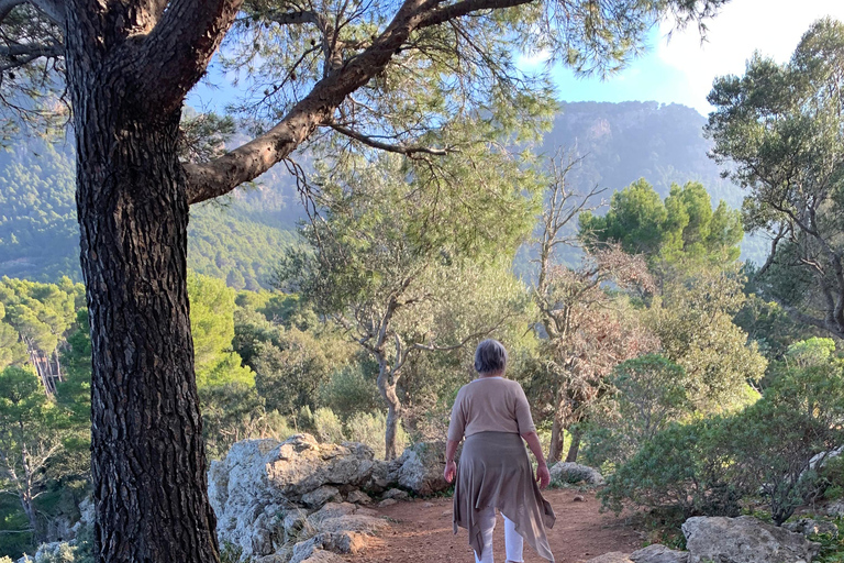 Valldemossa: Stad en de mooiste uitzichtpunten