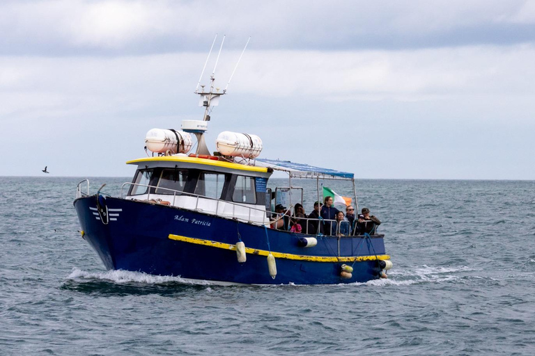 Dublin : Tour en bateau du phare et des falaises de HowthDublin : Les falaises de Howth et le tour en bateau de la côte de l&#039;œil de l&#039;Irlande