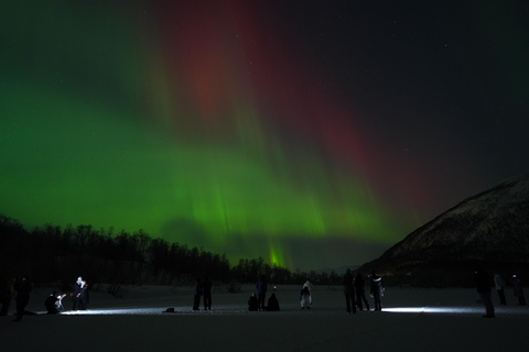 Tromsø: Northern Lights Tour – Unlimited Chase & Free Photos 6-8 Hours, Aurora chase, Comfortable bus, Photos included