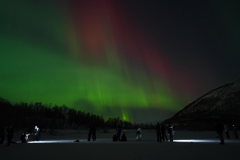 Tromsø: Northern Lights Tour – Unlimited Chase & Free Photos 6-8 Hours, Aurora chase, Comfortable bus, Photos included