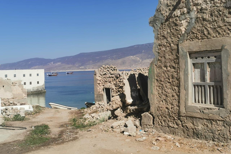 Salalah: tour della parte orientale di Salalah con Wadi e Museo di SumhuramSalalah: tour della parte orientale di Salalah con Wadi e Museo Sumhuram