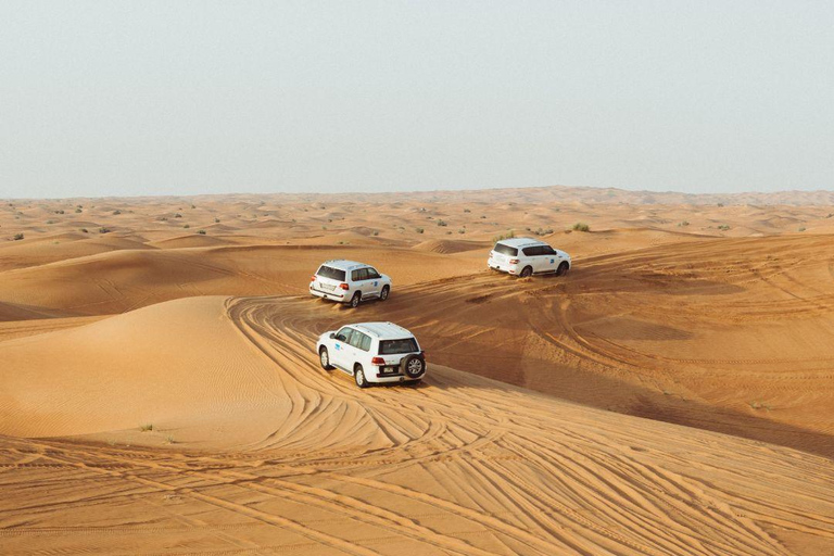 多哈：沙漠私人之旅（含骆驼骑乘体验和茶）