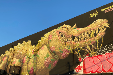 Wynwood wandeltour in het Frans (2u)