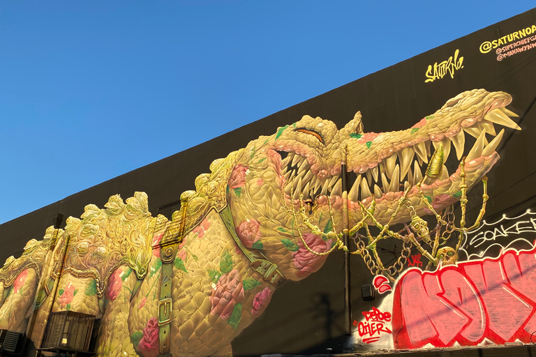 Wynwood wandeltour in het Frans (2u)