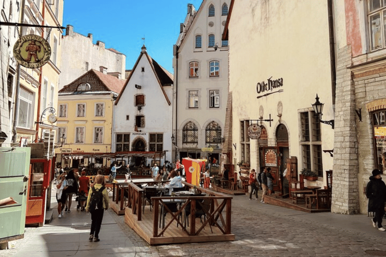 Helsinki to Tallinn Guided Tour with Cruise Ticket & Pickup