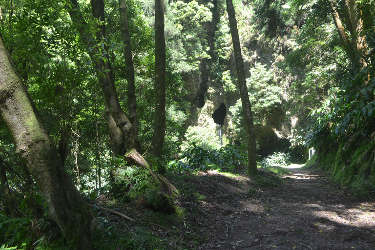Sao Miguel Hike to Janela do Inferno and Lagoa do Fogo