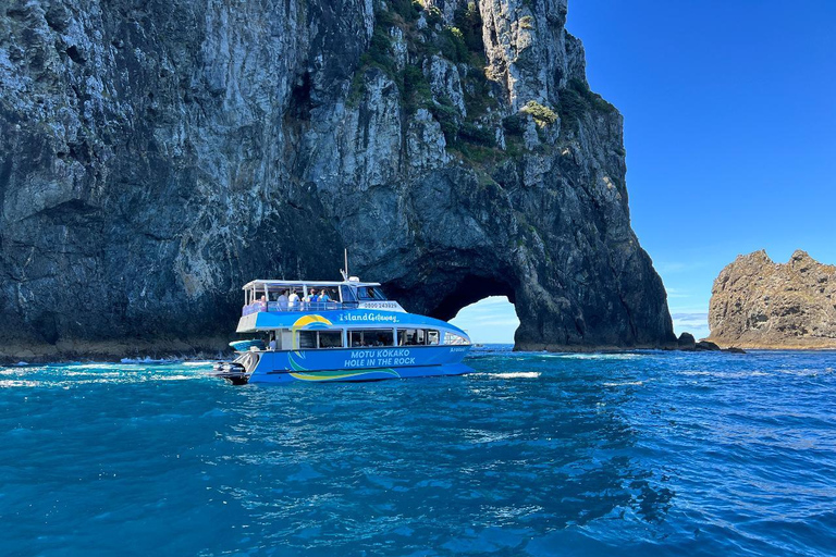 From Auckland: Hole in the rock cruise tour