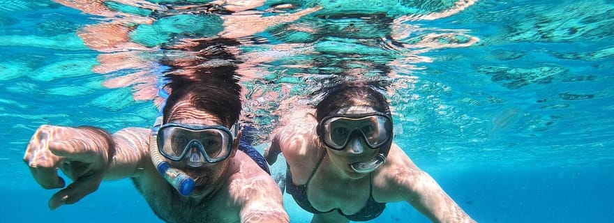 Dauphins de Zanzibar+ snokling à Mnemba avec des tortues en train de nager