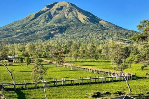 从日惹出发的日出西库尼尔山和迪恩高原之旅从日惹到日出 Sikunir 和 Dieng 高原之旅