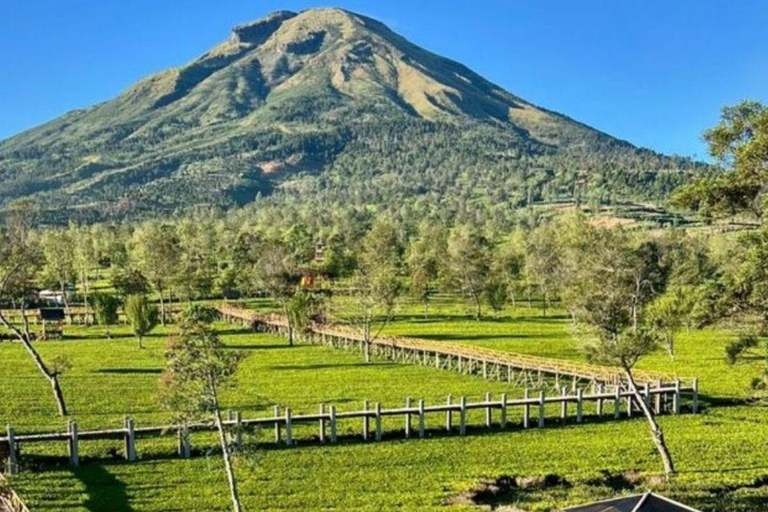 从日惹出发的日出西库尼尔山和迪恩高原之旅从日惹到日出 Sikunir 和 Dieng 高原之旅