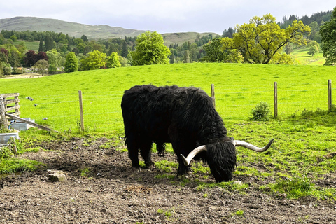 Desde Edimburgo: Excursión de un día al Lago Ness, Glencoe y las Tierras Altas