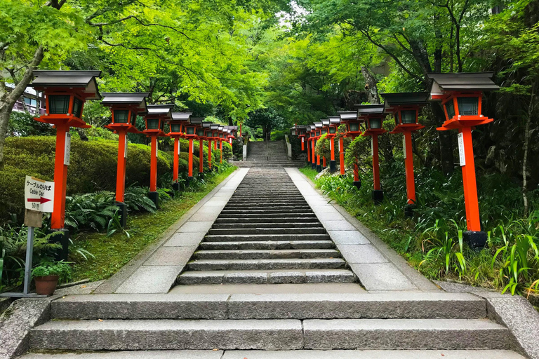 1 journée d&#039;Osaka à Kyoto : Temples, châteaux et culture