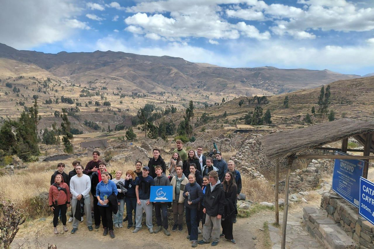 Arequipa: Colca Day Trip with Views & Condor