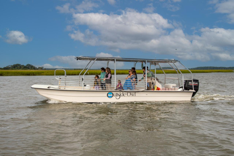 Savannah: Eco tour dei delfini con un capitano esperto