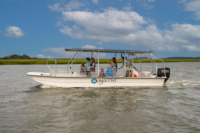 Savannah: Eco tour dei delfini con un capitano esperto