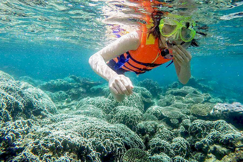 Excursión a la Isla Cham con diversión de snorkel: Desde Da Nang o Hoi AnDesde la ciudad de Da Nang