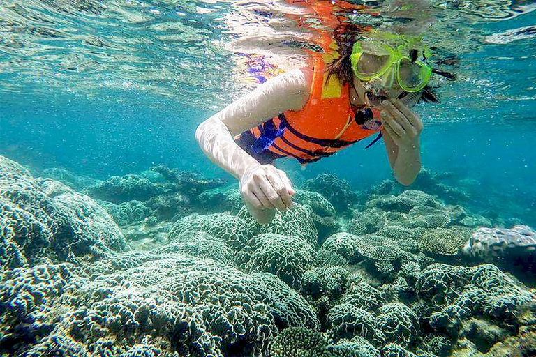 Excursión a la Isla Cham con diversión de snorkel: Desde Da Nang o Hoi AnDesde la ciudad de Da Nang