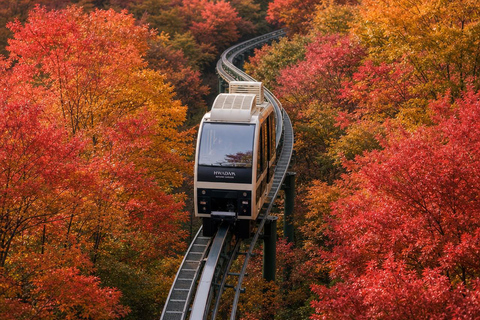 Seoul: Hwadam Forest & Namhansanseong & Korean Folk Village Private Tour (1-8 people Max)