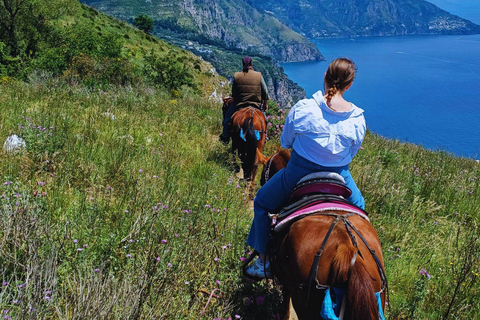 Sorrento: 3-godzinna przejażdżka konna po półwyspie Sorrento