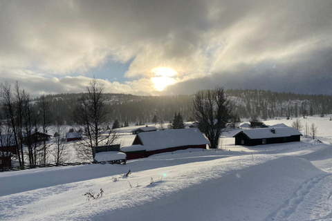 Oslo: Private City Highlights Tour by Car