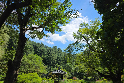 From Seoul: Garden of Morning Calm Day Tour by train