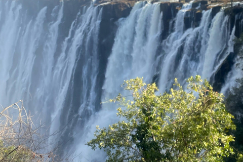 Victoria Falls:old age private guided tour